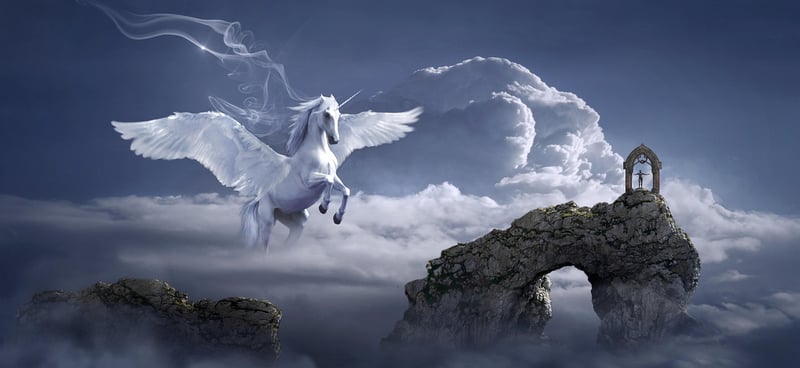 Whimsical Wonderland